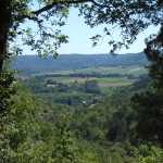 DSCN1369